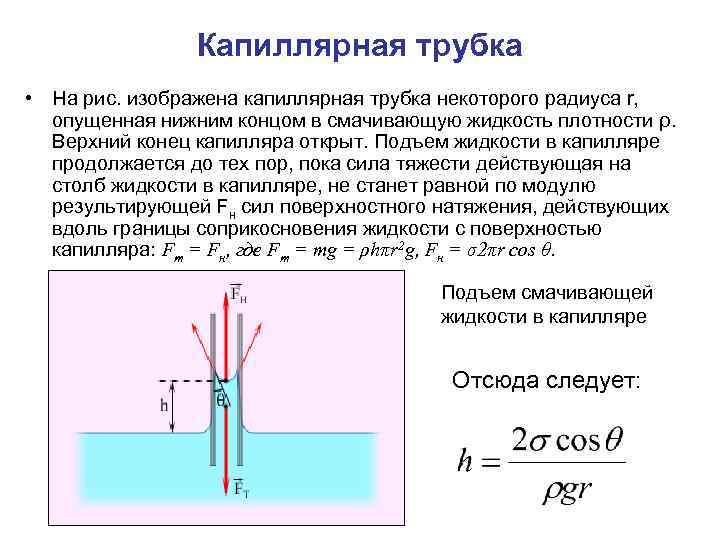 Капиллярная трубка • На рис. изображена капиллярная трубка некоторого радиуса r, опущенная нижним концом