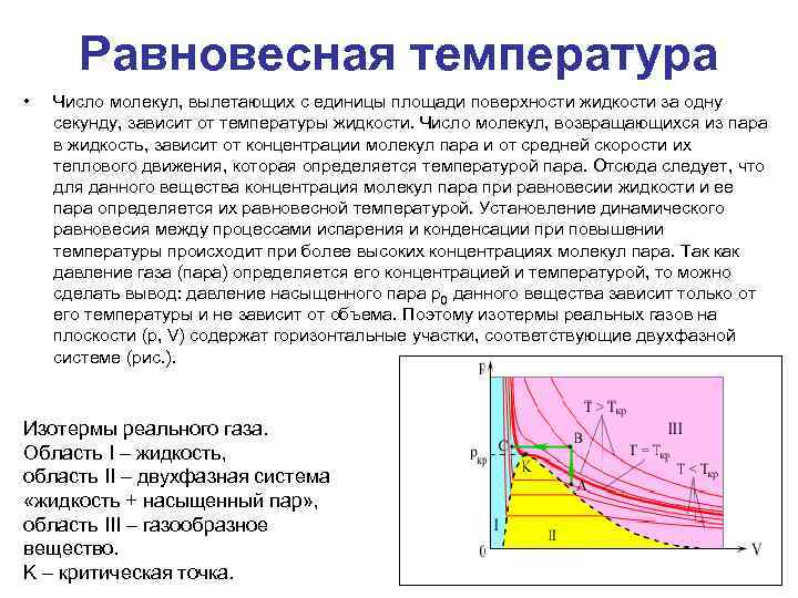 Равновесная температура • Число молекул, вылетающих с единицы площади поверхности жидкости за одну секунду,