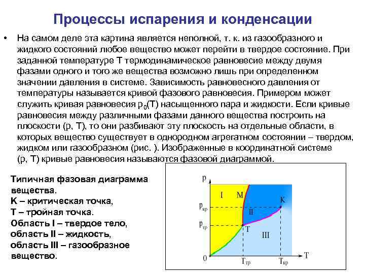 Процессы испарения и конденсации • На самом деле эта картина является неполной, т. к.