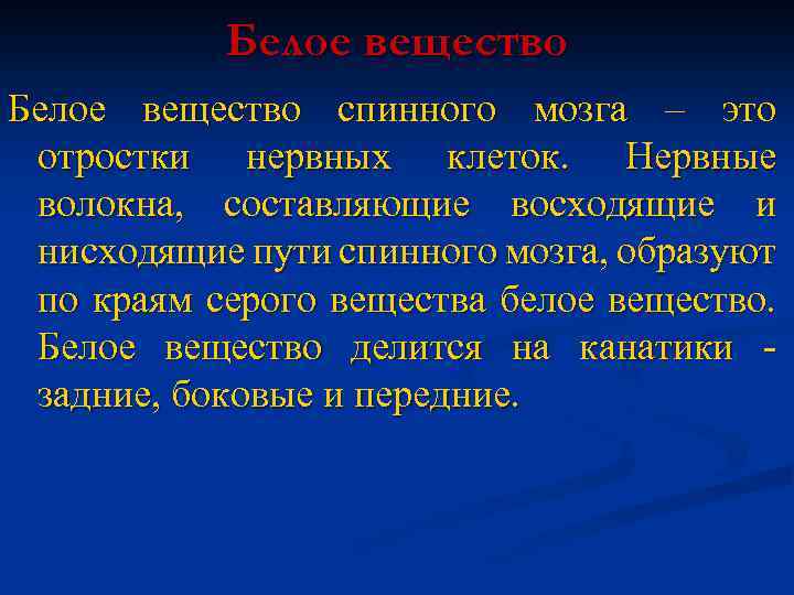 Белое вещество спинного мозга – это отростки нервных клеток. Нервные волокна, составляющие восходящие и