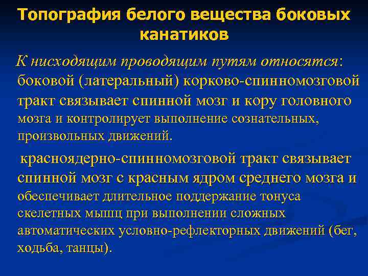 Топография белого вещества боковых канатиков К нисходящим проводящим путям относятся: боковой (латеральный) корково-спинномозговой тракт