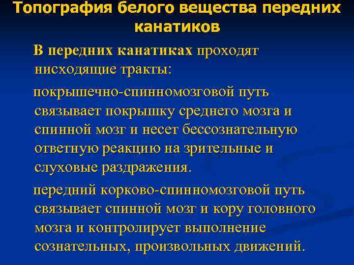 Топография белого вещества передних канатиков В передних канатиках проходят нисходящие тракты: покрышечно-спинномозговой путь связывает