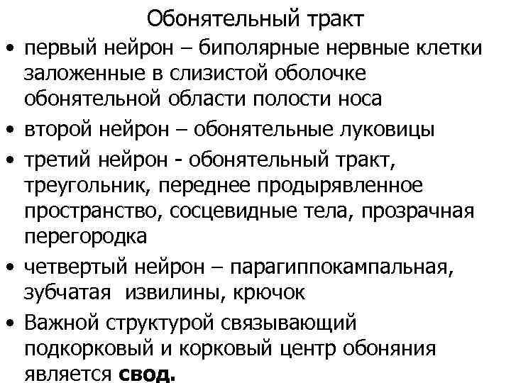 Обонятельный тракт • первый нейрон – биполярные нервные клетки заложенные в слизистой оболочке обонятельной