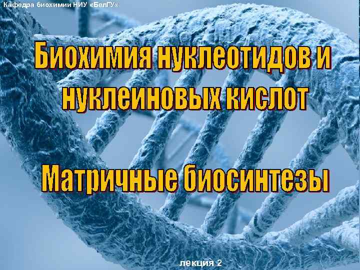 Кафедра биохимии НИУ «Бел. ГУ» лекция 2 