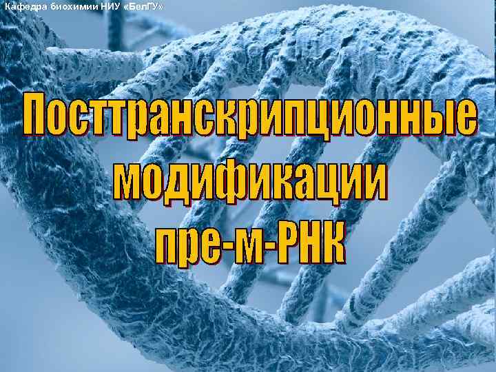 Кафедра биохимии НИУ «Бел. ГУ» 