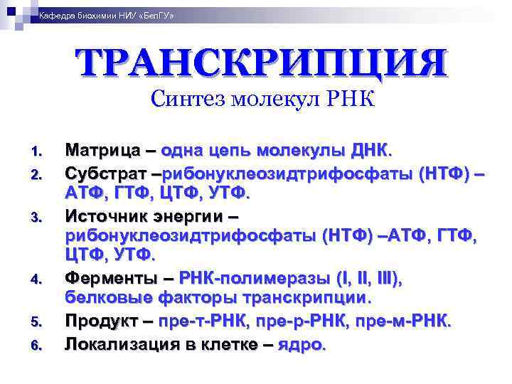 Кафедра биохимии НИУ «Бел. ГУ» ТРАНСКРИПЦИЯ Синтез молекул РНК 1. 2. 3. 4. 5.