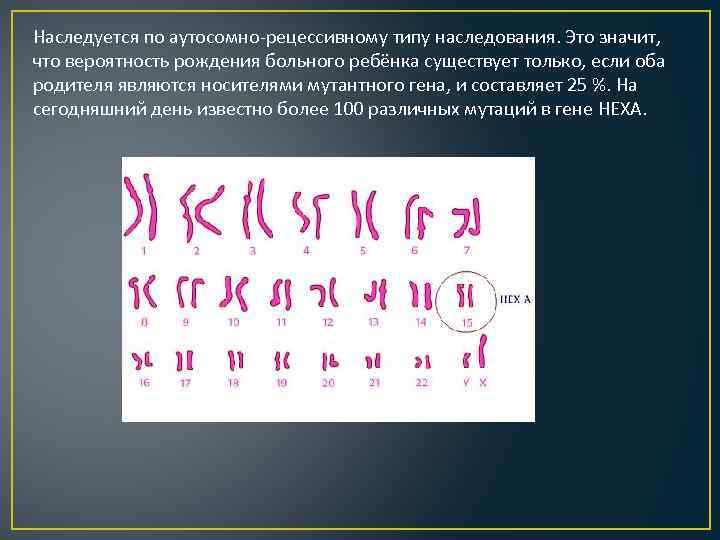 Аутосомные хромосомы. Наследование Тея-Сакса. Тея Сакса Тип наследования. Болезнь Тея-Сакса Тип наследования. Болезнь Тея-Сакса кариотип.