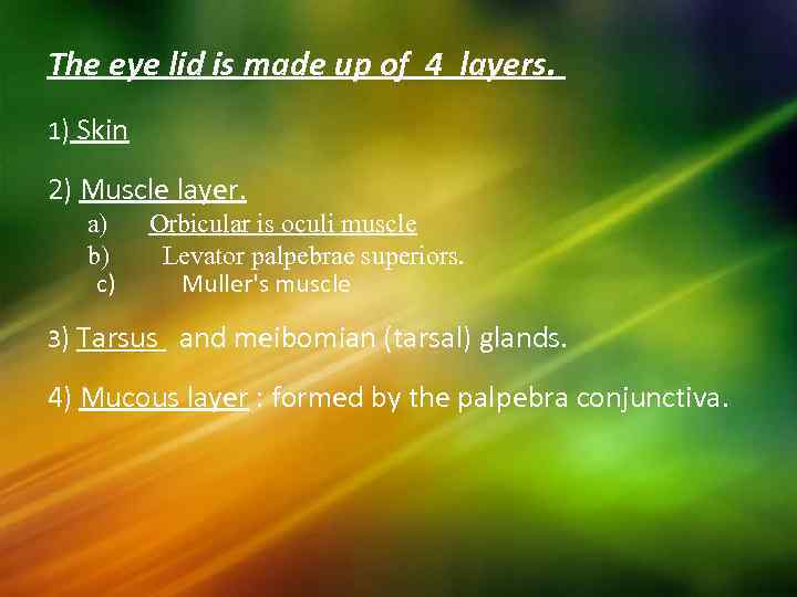 The eye lid is made up of 4 layers. 1) Skin 2) Muscle layer.