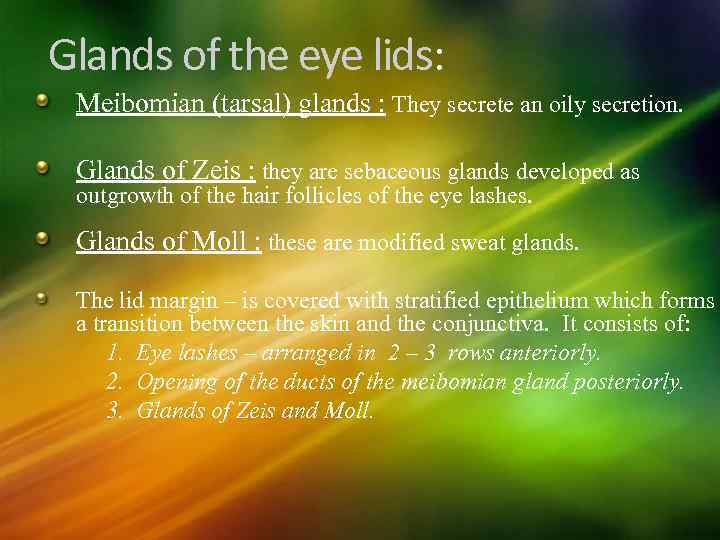 Glands of the eye lids: Meibomian (tarsal) glands : They secrete an oily secretion.