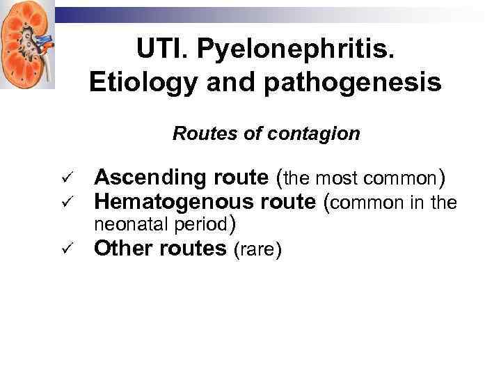 UTI. Pyelonephritis. Etiology and pathogenesis Routes of contagion ü ü ü Ascending route (the