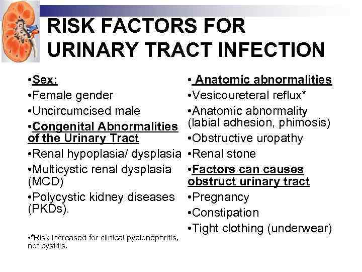Urinary Tract Infections in children Rakovska L Ass