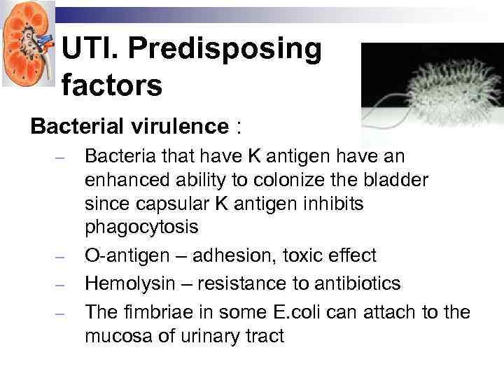 UTI. Predisposing factors Bacterial virulence : – – Bacteria that have K antigen have