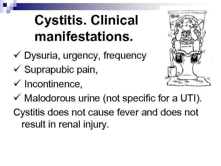 Cystitis. Clinical manifestations. ü Dysuria, urgency, frequency ü Suprapubic pain, ü Incontinence, ü Malodorous