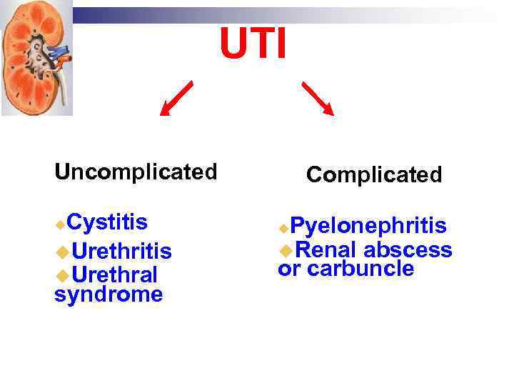 UTI Uncomplicated Cystitis Urethral syndrome Complicated Pyelonephritis Renal abscess or carbuncle 