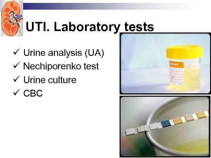 UTI. Laboratory tests ü ü Urine analysis (UA) Nechiporenko test Urine culture CBC 