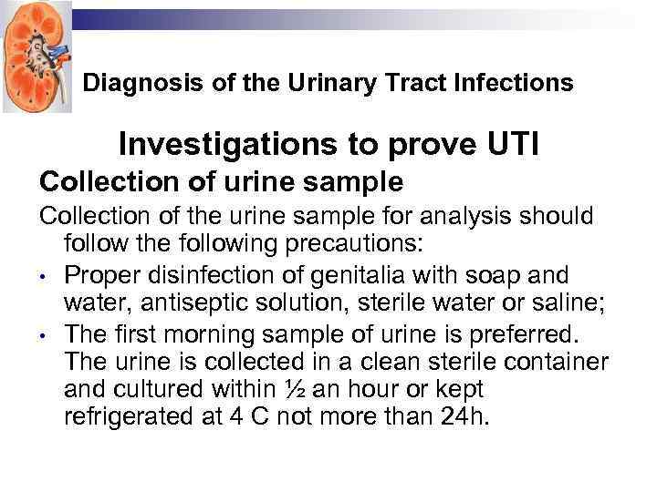 Diagnosis of the Urinary Tract Infections Investigations to prove UTI Collection of urine sample