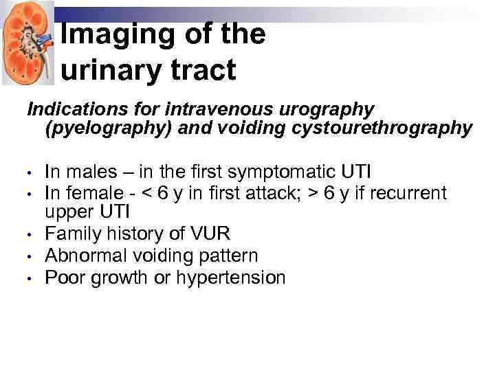 Imaging of the urinary tract Indications for intravenous urography (pyelography) and voiding cystourethrography •