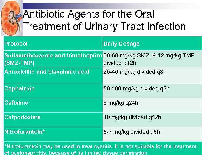 Antibiotic Agents for the Oral Treatment of Urinary Tract Infection Protocol Daily Dosage Sulfamethoxazole