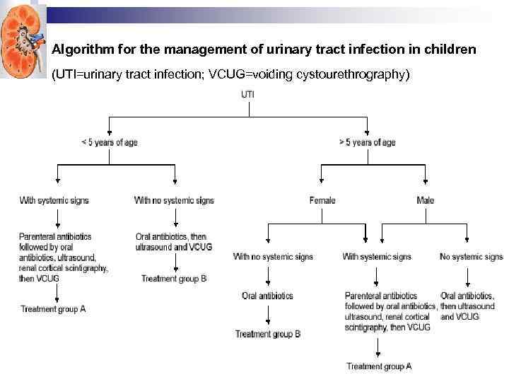 Algorithm for the management of urinary tract infection in children (UTI=urinary tract infection; VCUG=voiding