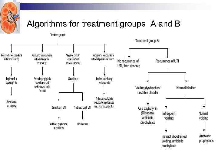 Algorithms for treatment groups A and B 