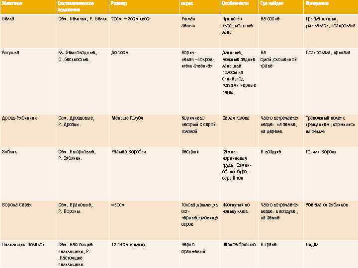 Животное Систематическое положение Белка Размер окрас Особенности Где найден Поведение Сем. Беличьи, Р. Белки.