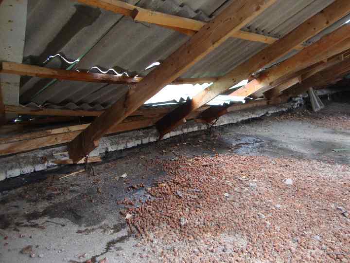 пр. каф "СК" Тишков Н. Л. 10 9 