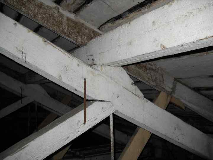 пр. каф "СК" Тишков Н. Л. 11 5 