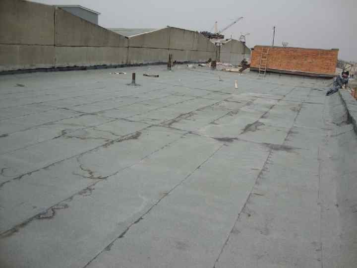 пр. каф "СК" Тишков Н. Л. 131 