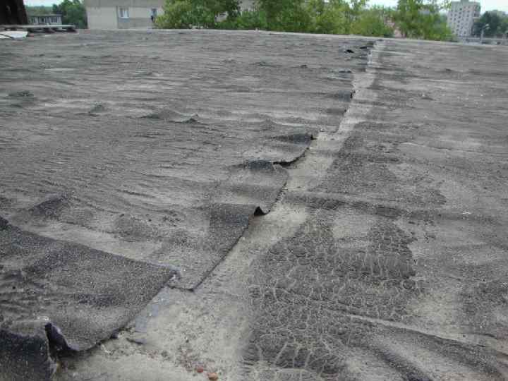 пр. каф "СК" Тишков Н. Л. 133 