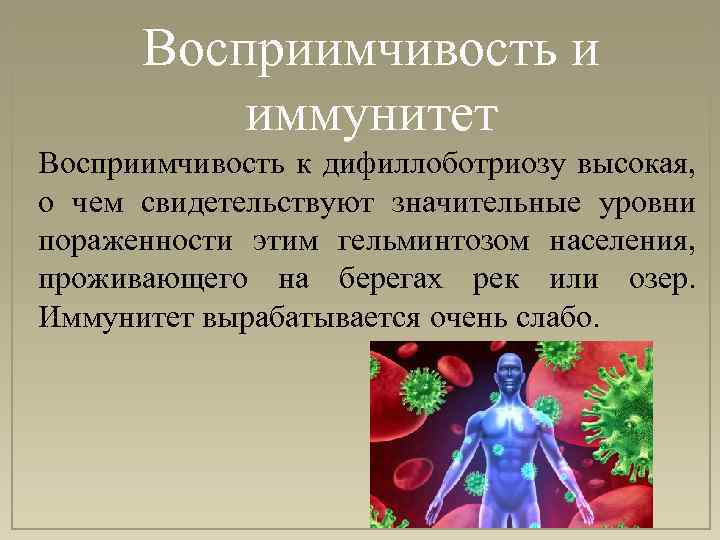 Восприимчивость и иммунитет Восприимчивость к дифиллоботриозу высокая, о чем свидетельствуют значительные уровни пораженности этим