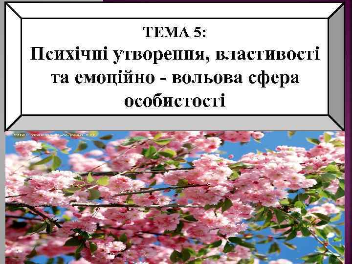 ТЕМА 5: Психічні утворення, властивості та емоційно - вольова сфера особистості 
