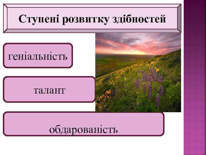 Ступені розвитку здібностей 10 геніальність талант обдарованість 
