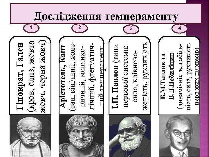 1 3 4 Б. М. Теплов та В. Д. Небиліцин (динамічність, лабіль ність, сила,