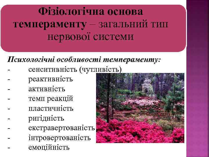 Фізіологічна основа темпераменту – загальний тип нервової системи Психологічні особливості темпераменту: сенситивність (чутливість) реактивність