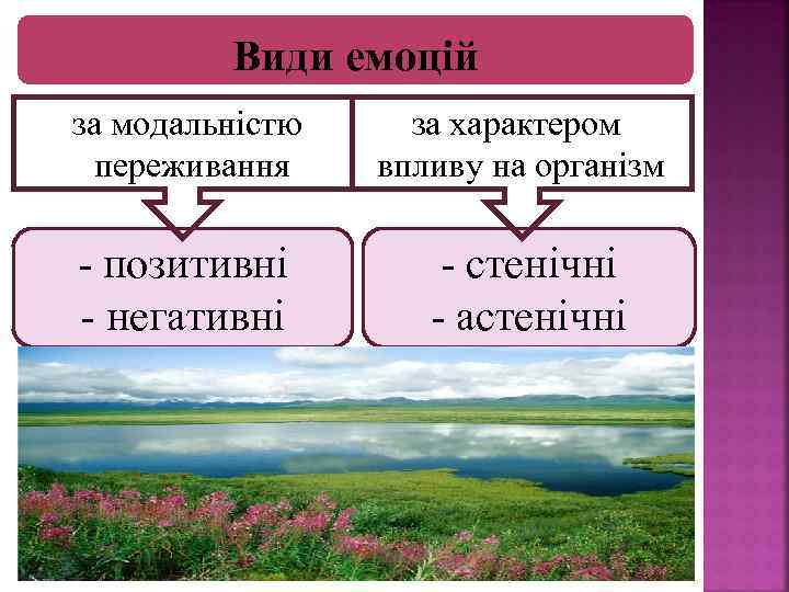 Види емоцій за модальністю переживання за характером впливу на організм позитивні негативні стенічні астенічні