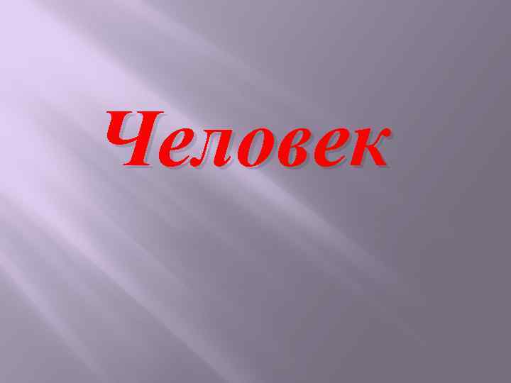 Человек 