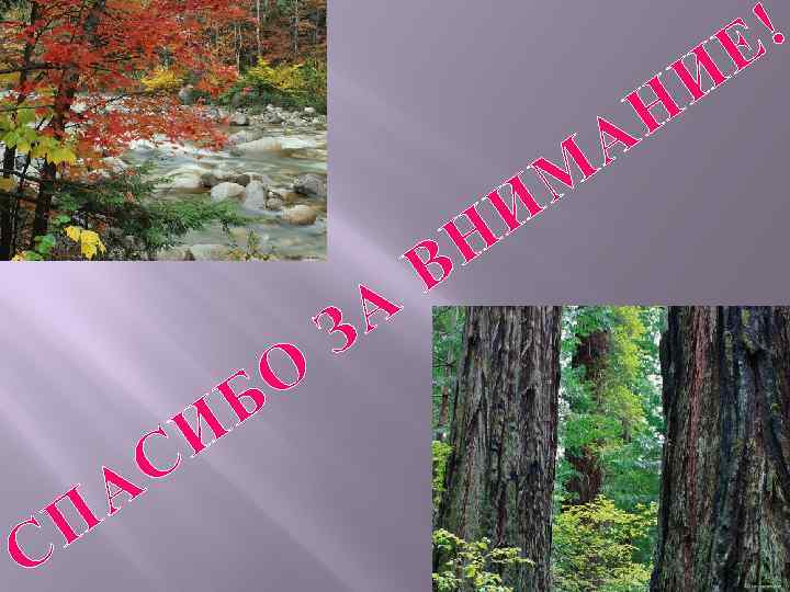 С А П И С О Б А З Н В М И А