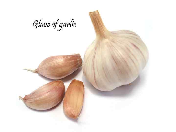 Glove of garlic 