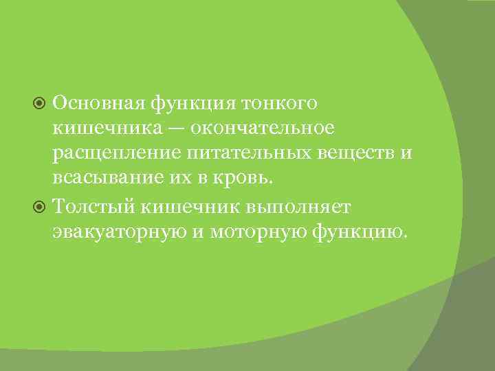 Основная функция тонкого кишечника — окончательное расщепление питательных веществ и всасывание их в кровь.