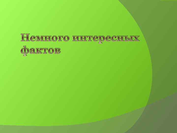 Немного интересных фактов 
