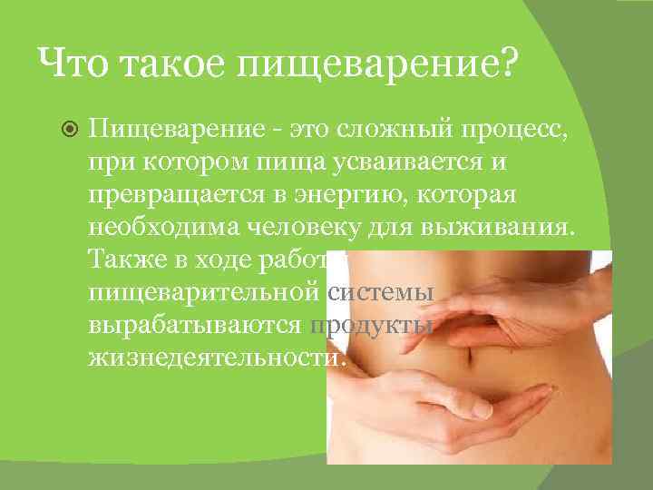 Что такое пищеварение? Пищеварение - это сложный процесс, при котором пища усваивается и превращается