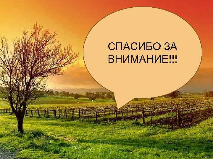 СПАСИБО ЗА ВНИМАНИЕ!!! 