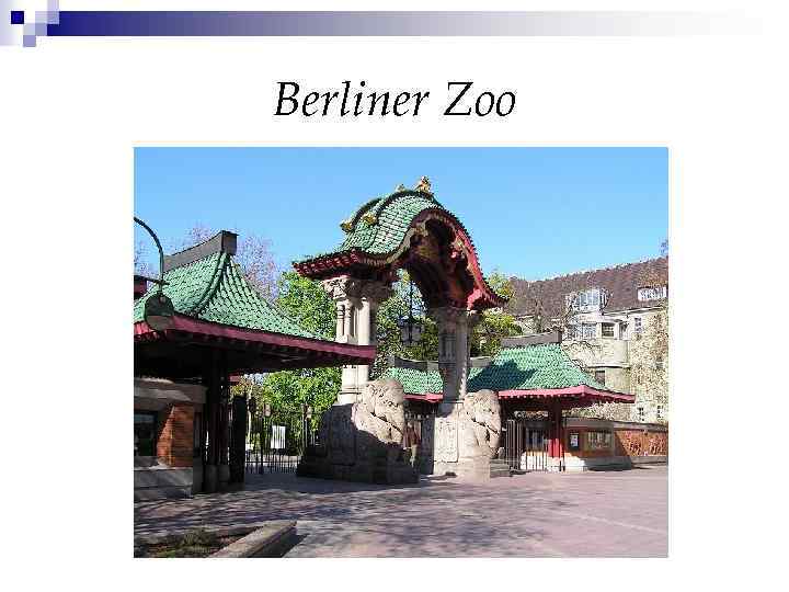 Berliner Zoo 