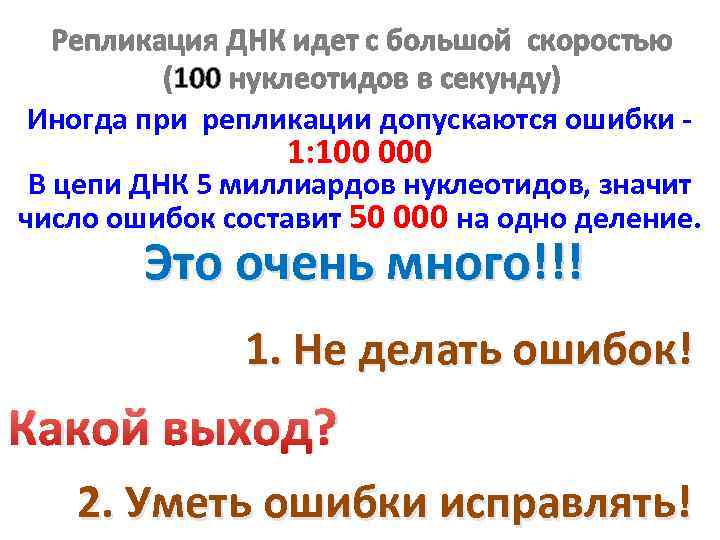 Репликация ДНК идет с большой скоростью (100 нуклеотидов в секунду) Иногда при репликации допускаются