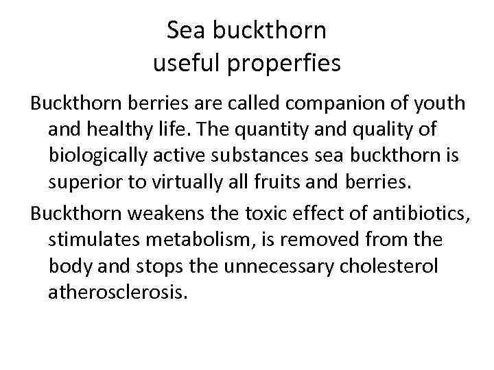 Sea buckthorn useful properfies Buckthorn berries are called companion of youth and healthy life.