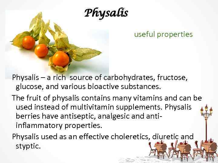 Physalis useful properties Physalis – a rich source of carbohydrates, fructose, glucose, and various