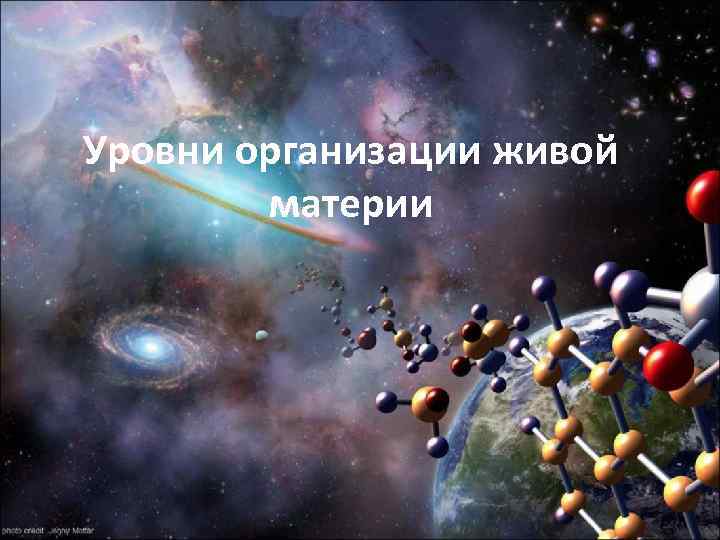Уровни организации живой материи 