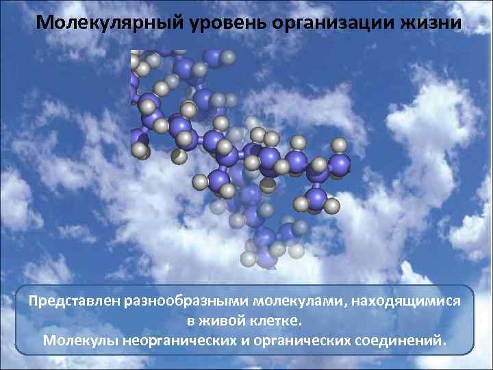 Молекулярный уровень организации жизни Представлен разнообразными молекулами, находящимися в живой клетке. Молекулы неорганических и
