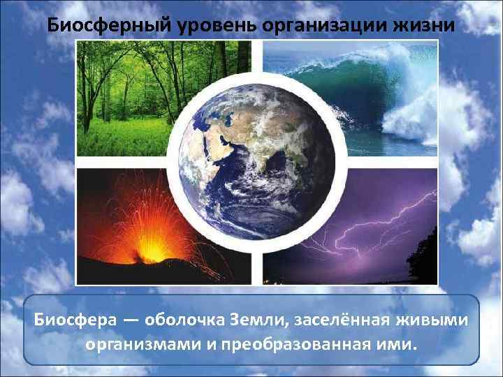 Биосферный уровень организации жизни Биосфера — оболочка Земли, заселённая живыми организмами и преобразованная ими.