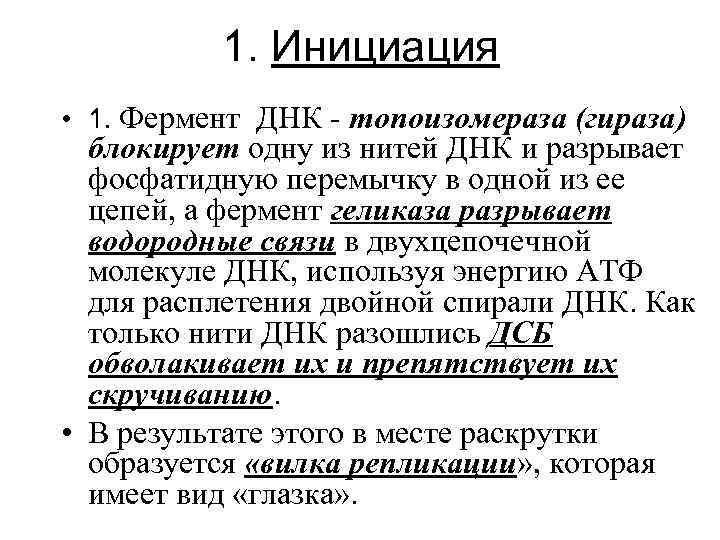 1. Инициация • 1. Фермент ДНК - топоизомераза (гираза) блокирует одну из нитей ДНК